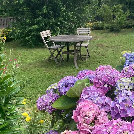 Espace Prive Dans Un Parc Arbore Guebwiller